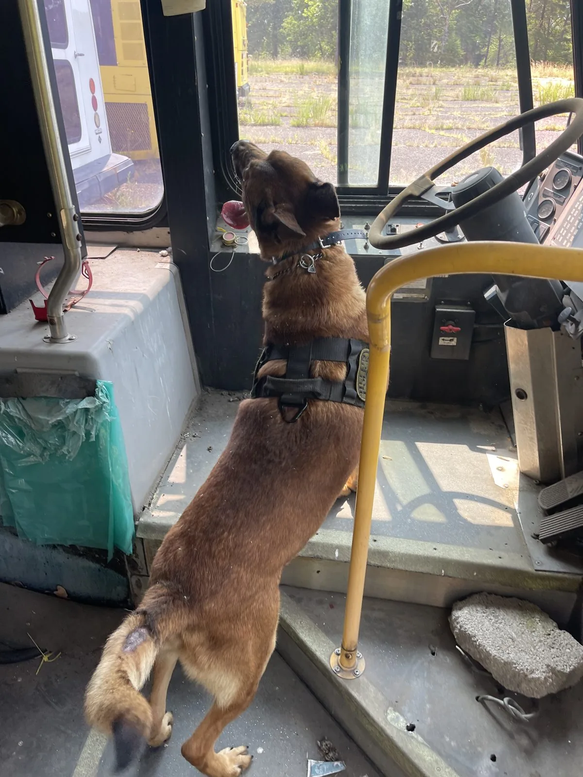 Interior search — vehicle